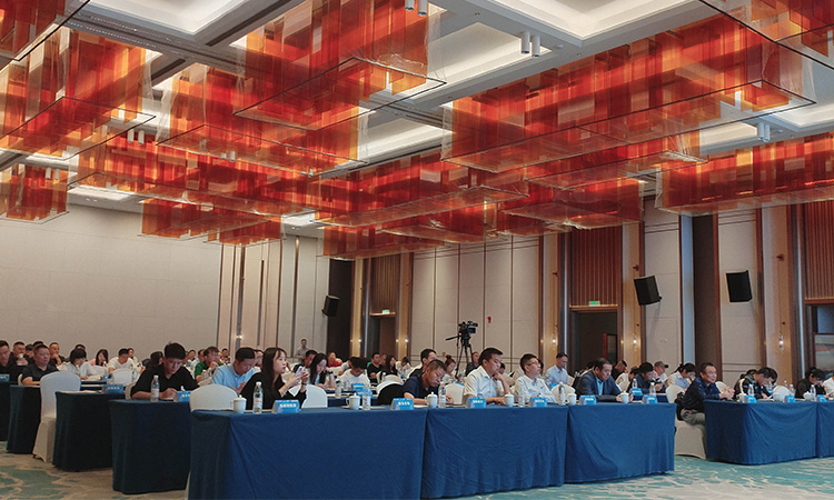 Aolan fue invitada a participar en la Conferencia de Promoción de Productos y Emparejamiento de Oferta y Demanda de Tecnología de Ahorro de Energía de la Industria Textil de Fujian 2024.