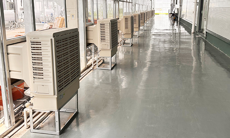 Proyecto de ventilación y refrigeración del Centro de Ciencias Botánicas de Zhejiang